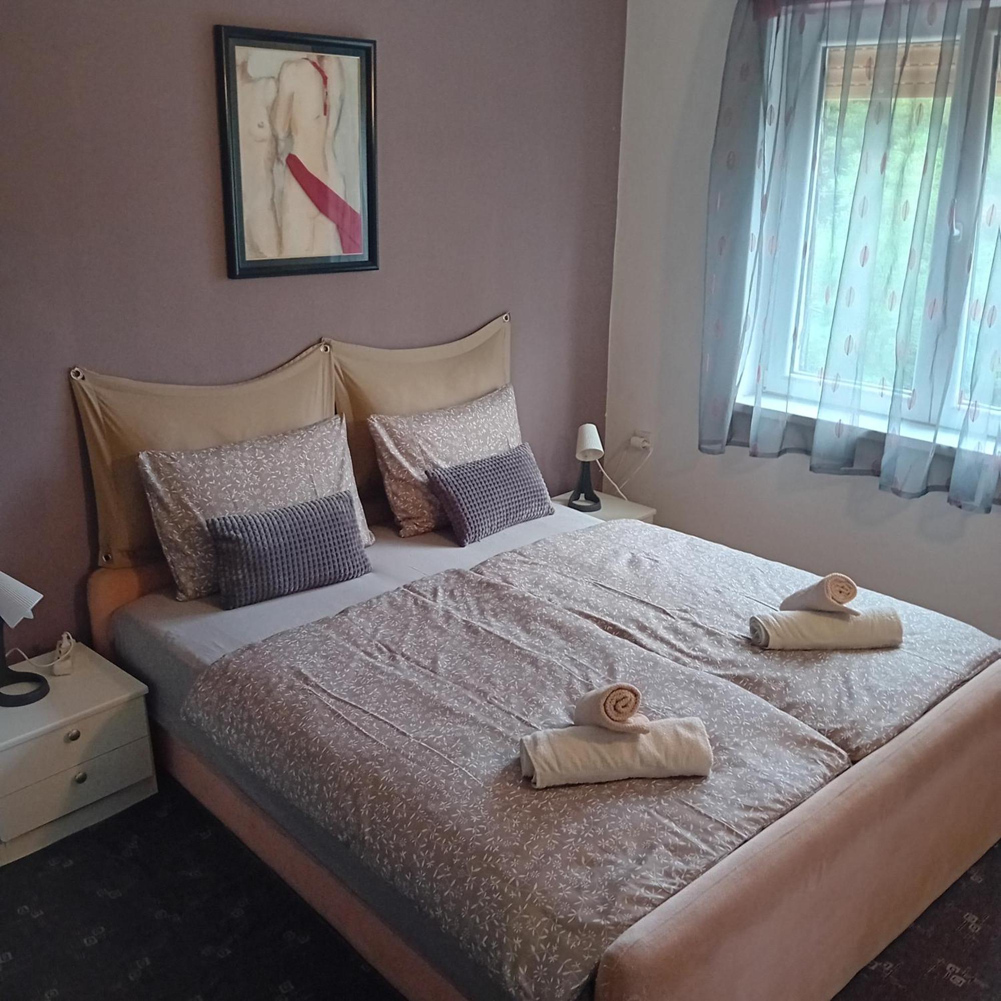 Apartman Joy Rijeka Exterior photo